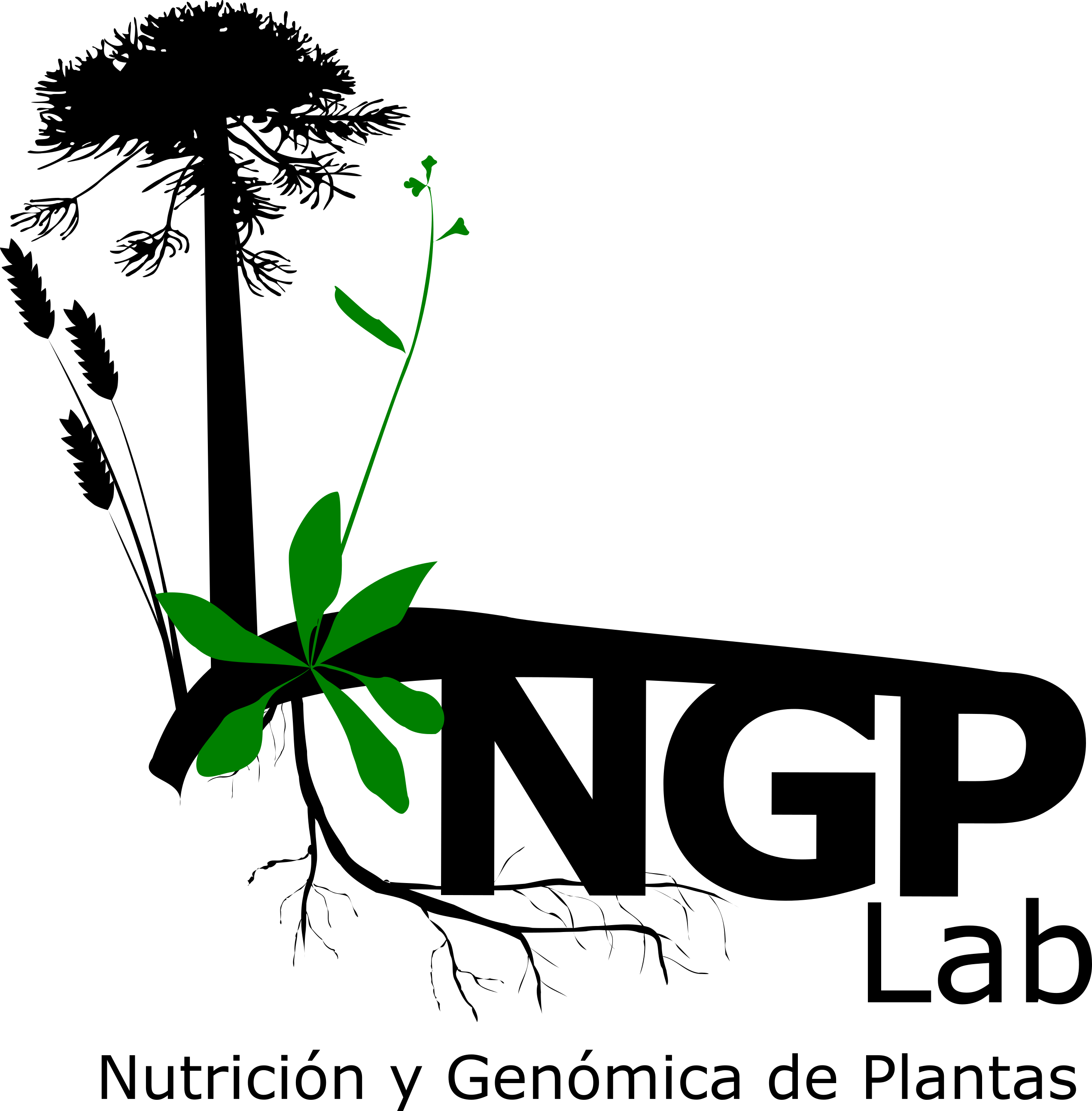 Plant Nutrition and Genomics Lab