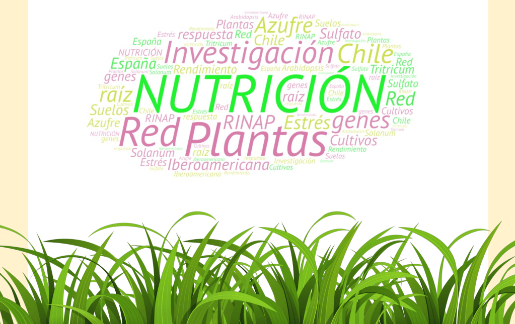 1st Ibero-American Seminar on Plant Nutrition