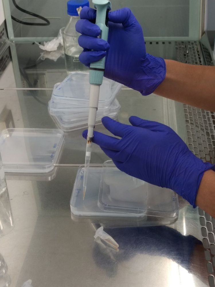 Trabajo de laboratorio