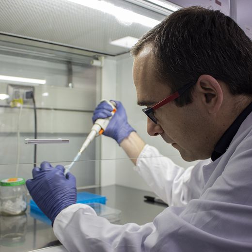 Dr. Javier Canales