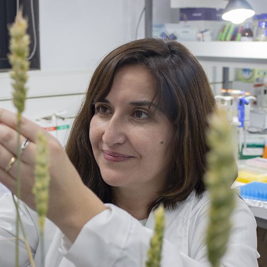 Dra. Anita Arenas