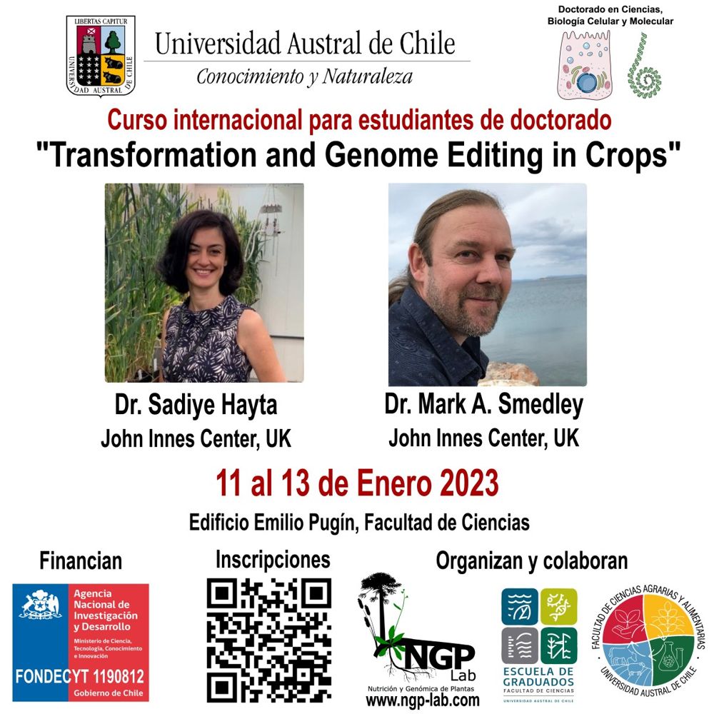 Curso internacional «Transformation and Genome Editing in&nbsp;Crops»